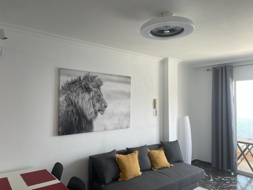 Citofono di accesso nel salotto di Buenavista The Blue Oyster, Los Gigantes.