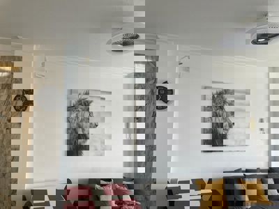 Salotto decorato al Buenavista The Blue Oyster, Los Gigantes, con mobili moderni e accoglienti.