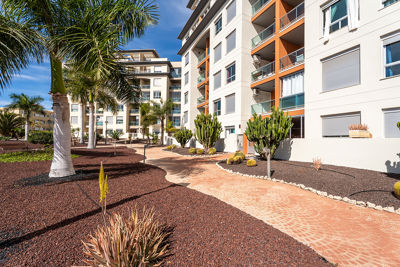 Hermoso jardín con flores y césped verde en un apartamento vacacional en Islas Canarias, España